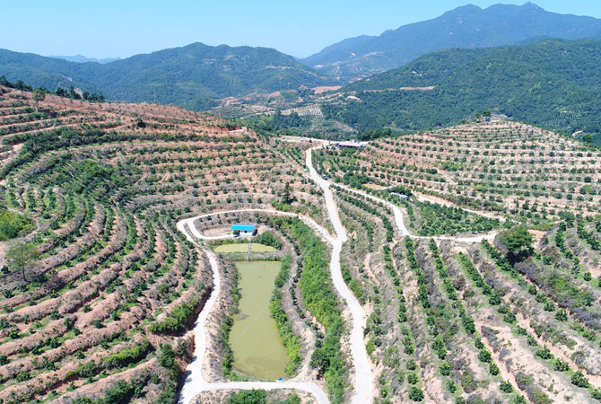 xingkong.com:追觅现象：中国智造的时代样本